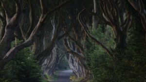 Halloween is celebrated every year on 31 October, halaween